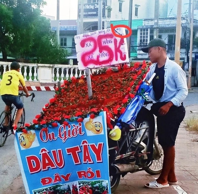 Loat bien quang cao hang rong “lua tinh” tuong gia re nhu cho-Hinh-7