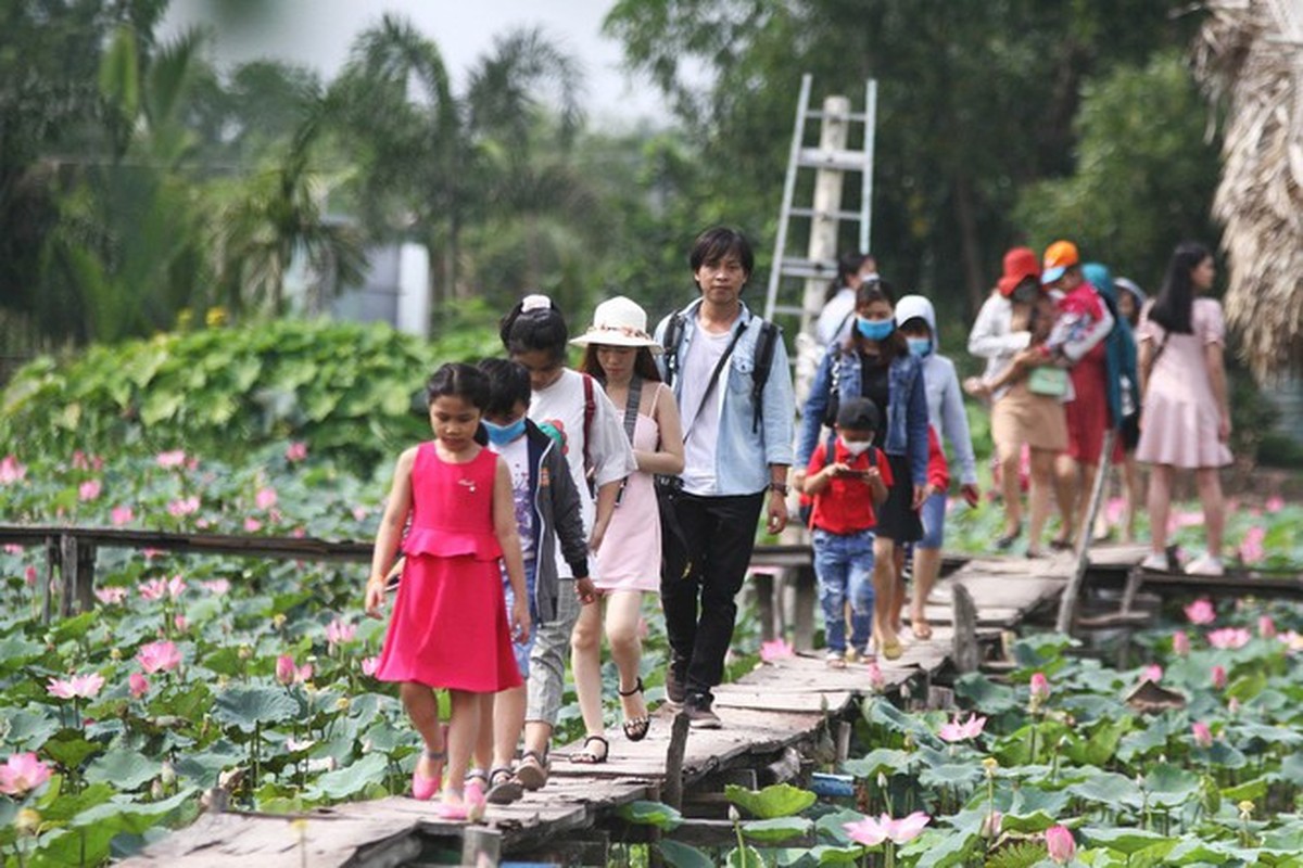 Tet Duong lich: Di dau, choi gi o Ha Noi va TP.HCM?-Hinh-10