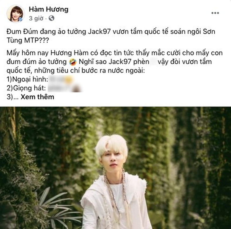 He lo lai lich “thanh comment” Ham Huong dang dan kien Dieu Nhi-Hinh-7