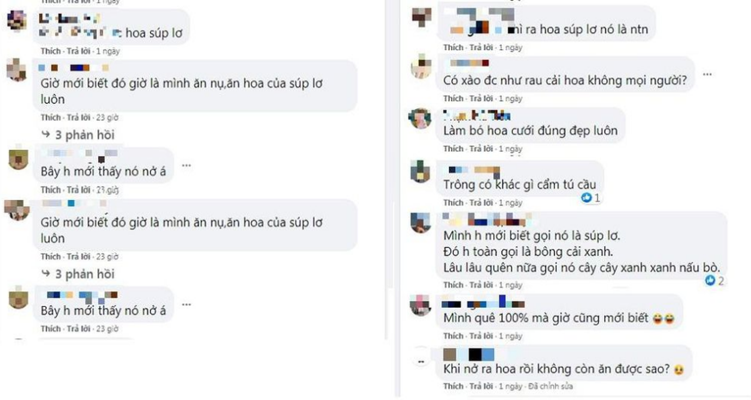 Giai cuu sup lo mang ve cam binh, hoi chi em tao tuyet pham-Hinh-2