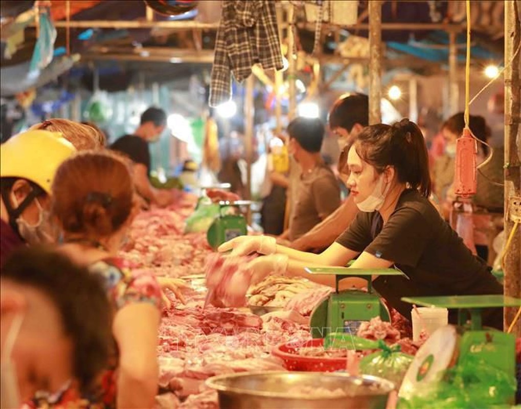 Van lo la phong, chong dich tai cho dau moi Ha Noi-Hinh-4