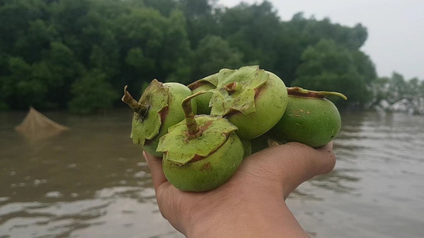 Khoe loai qua dac san mien Tay, chang trai khien netizen “ua nuoc mieng“-Hinh-2