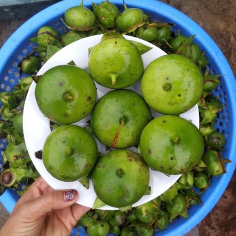 Khoe loai qua dac san mien Tay, chang trai khien netizen “ua nuoc mieng“-Hinh-3