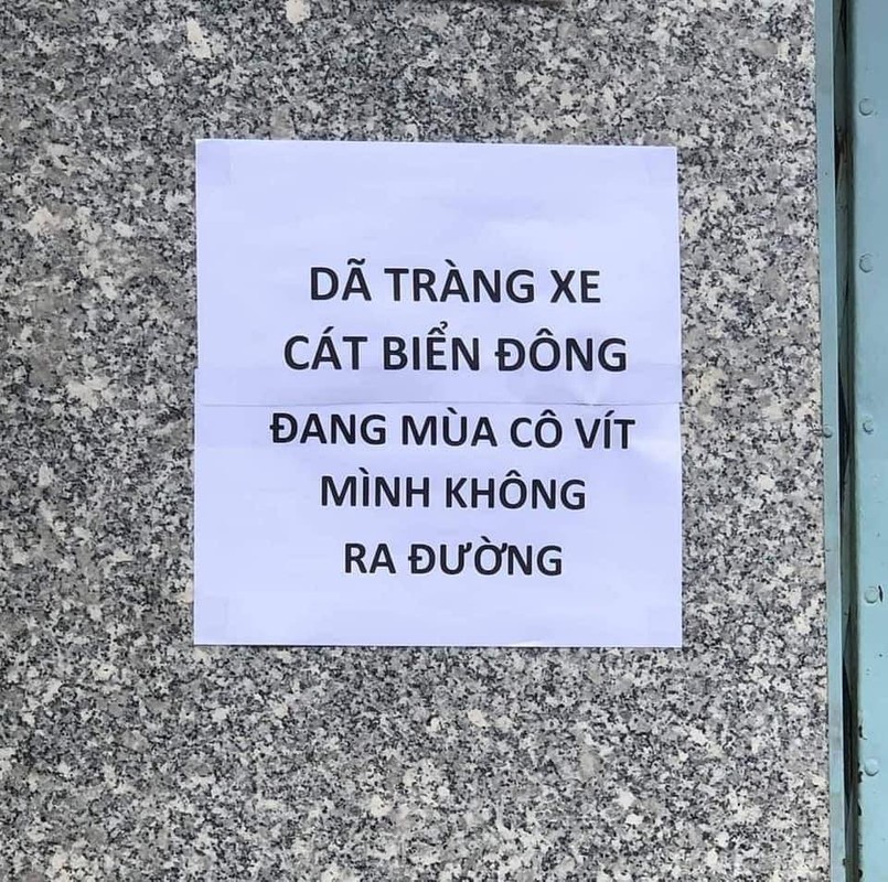 Netizen cuoi ngat voi loat tho than nhung ngay gian cach xa hoi-Hinh-6