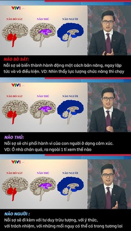 Tu vu Le Anh, diem loat “va mieng” cua dan MC VTV-Hinh-11