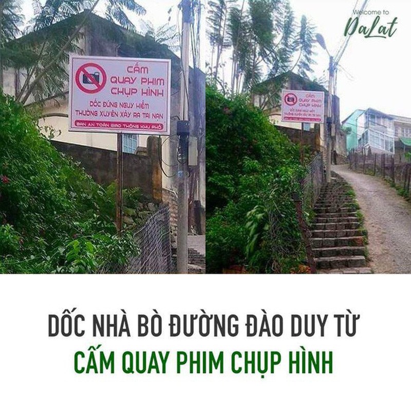 Doc Nha Bo Da Lat duoc tu sua, netizen vua mung vua tiec-Hinh-9