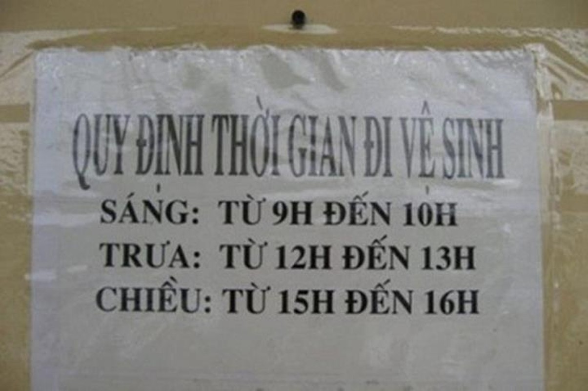 Phi cuoi voi nhung bien thong bao nha ve sinh khong the “man” hon-Hinh-8