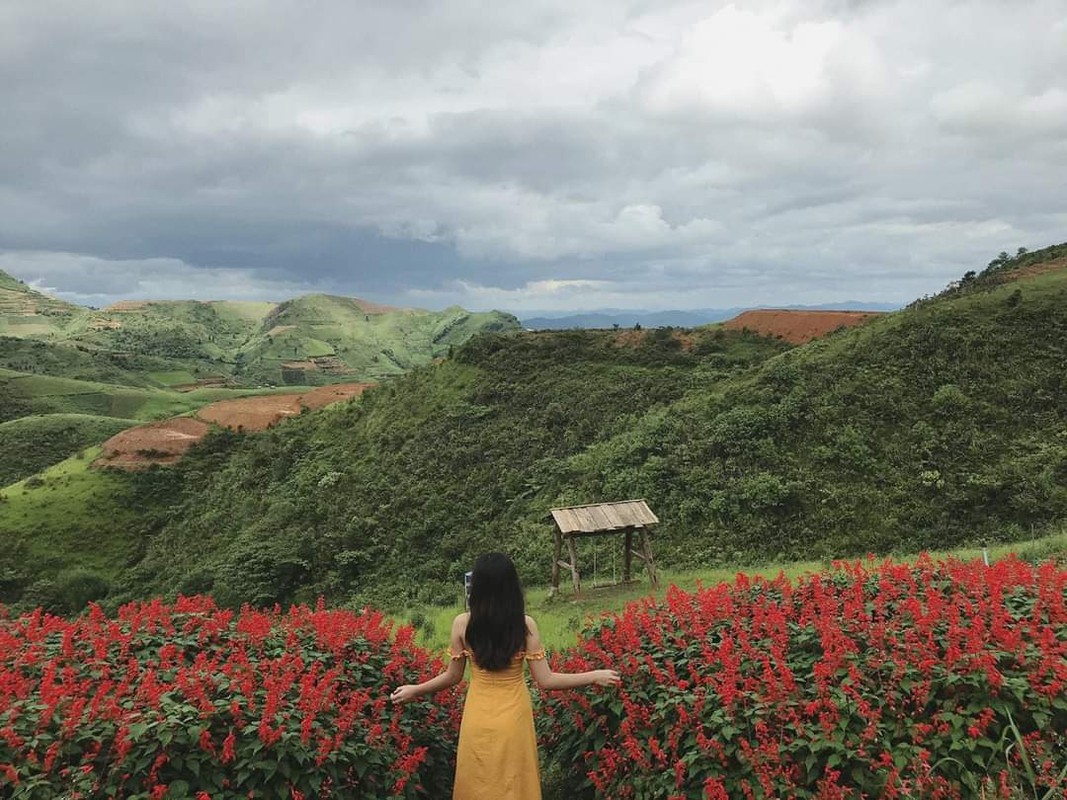 Den Dien Bien Phu, gioi tre nho ghe qua nhung diem tham quan nay-Hinh-5