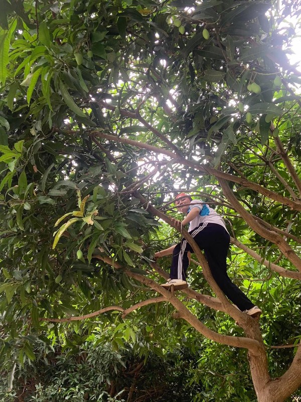 Vao mua xoai, sinh vien thi nhau khoe “chien loi pham” cuc hai huoc-Hinh-5