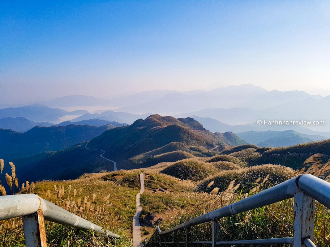 Den Binh Lieu mua co lau, tuong dau ngo troi Au-Hinh-12