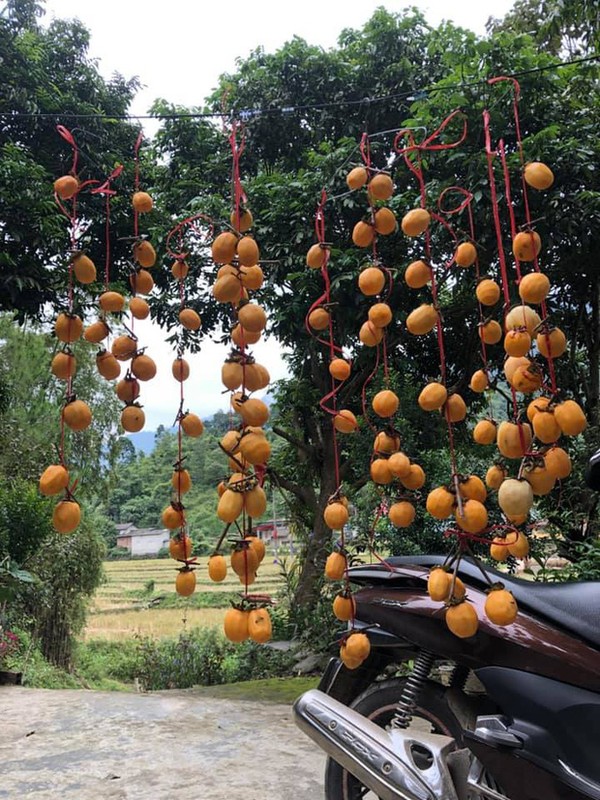 “Du trend” lam hong treo gio, co gai nhan cai ket loi