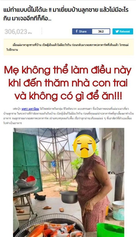 Dan ca Koi bi me “ho bien” len chao chi trong nhay mat