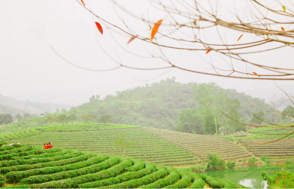 Canh dep nhu phim, doi che hut gioi tre ran ran check in-Hinh-6