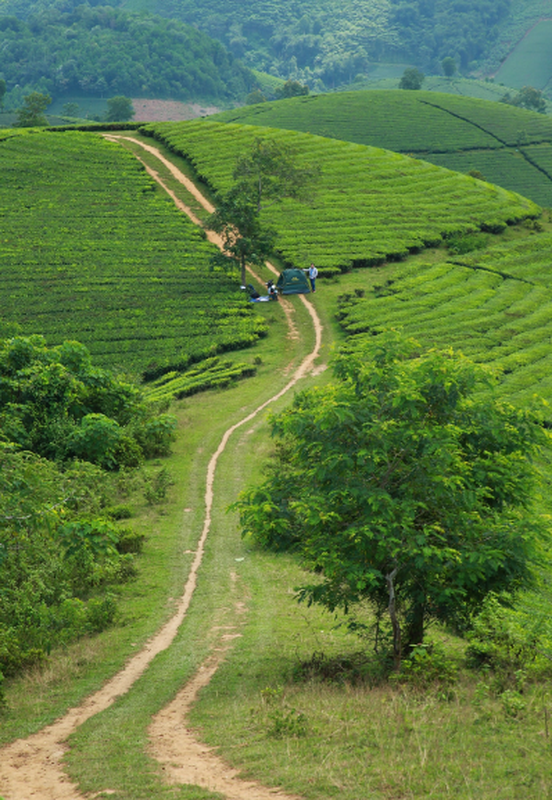 Canh dep nhu phim, doi che hut gioi tre ran ran check in-Hinh-9