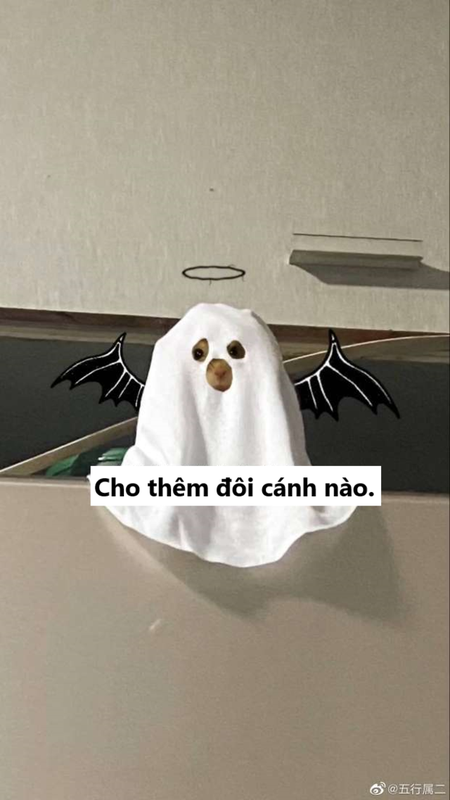 Thu cung ma nhung man hoa trang Halloween cuc ngau-Hinh-5