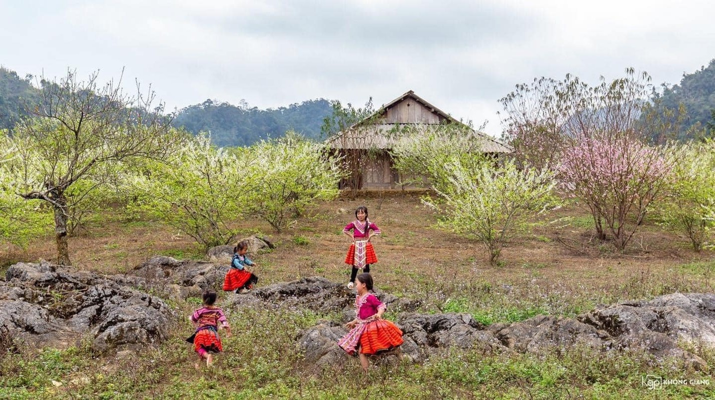 Check in Moc Chau voi nhung canh sac dep quen loi ve-Hinh-4