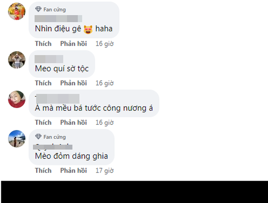 Xuat hien them linh vat meo phien ban quy toc o Da Lat-Hinh-3