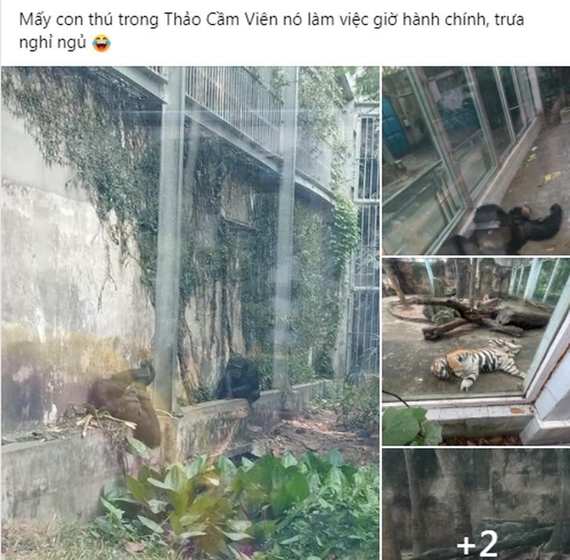 Di Thao Cam Vien, du khach nga ngua vi con nao cung ngu say