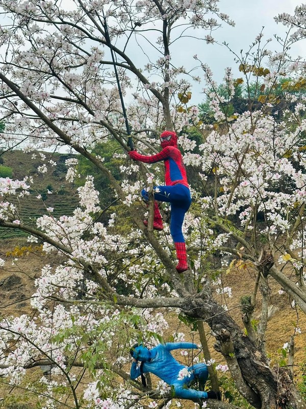 “Spider Man” va “Avatar” bat ngo check-in voi hoa ban Dien Bien-Hinh-3
