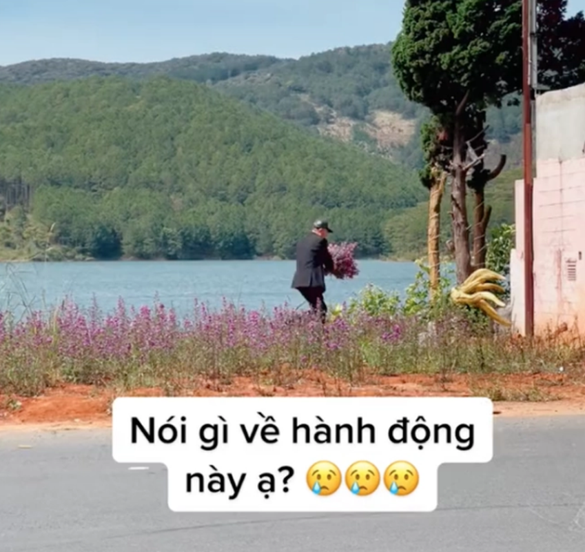 Du khach hai hoa ven duong o Da Lat gay buc xuc-Hinh-2