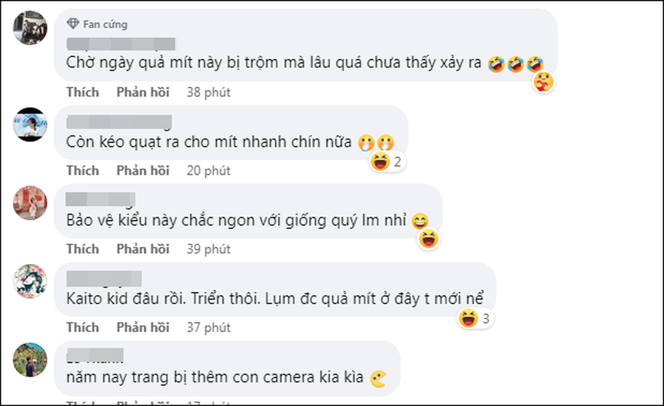 Xuat hien qua mit “an toan nhat Viet Nam”, netizen hien ke bao ve-Hinh-2