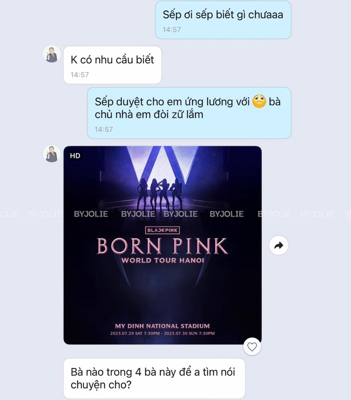 Blackpink den Viet Nam, loan gia ve-Hinh-8