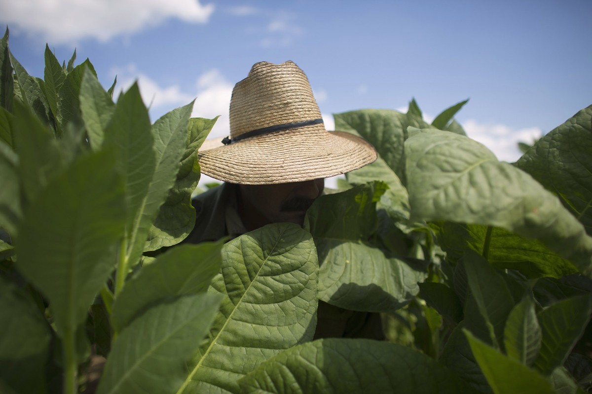 Dat nuoc Cuba thanh binh trong con mat phong vien Reuters-Hinh-4