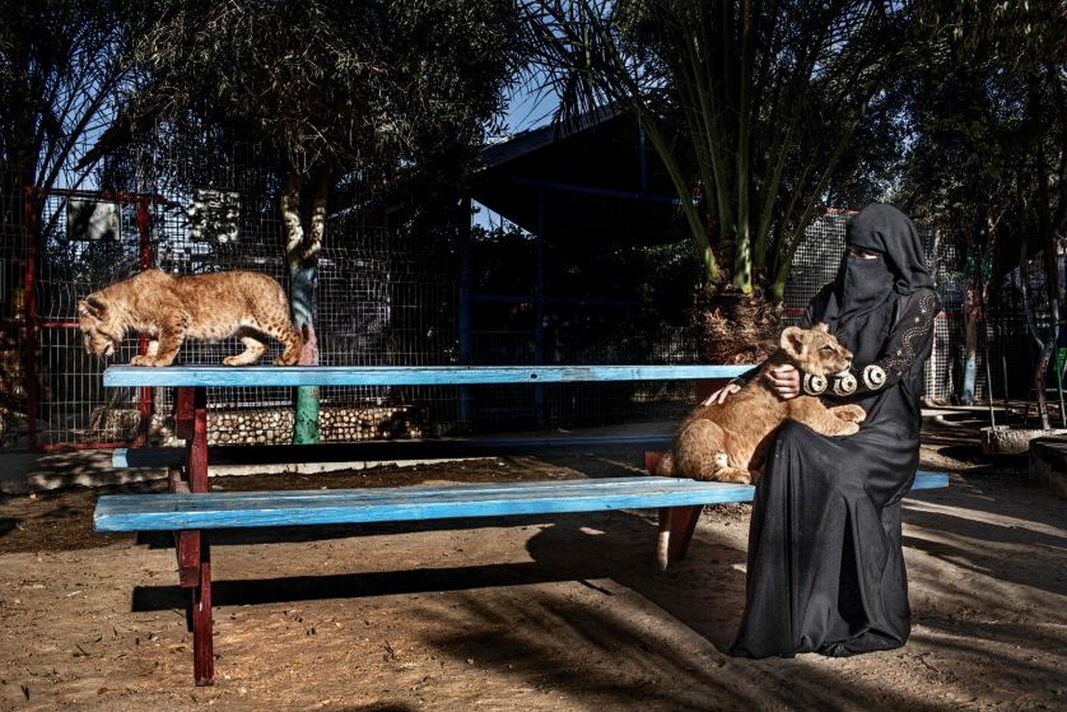 Khoanh khac yen binh hiem hoi o vung lanh tho Palestine-Hinh-9