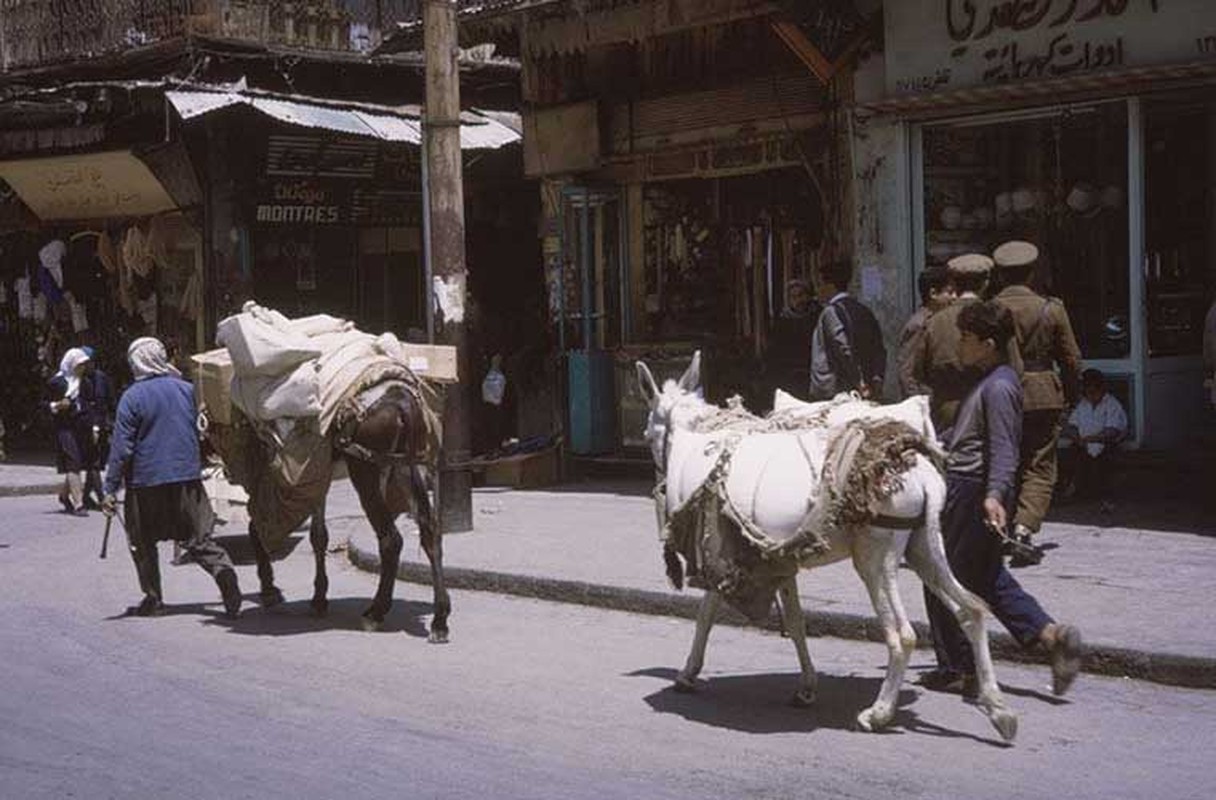 Dat nuoc Syria im tieng sung nhung nam 1960 qua anh-Hinh-12