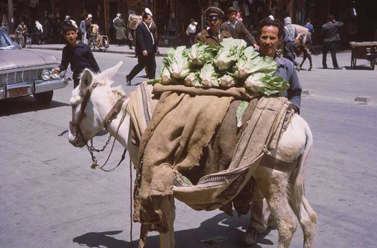 Dat nuoc Syria im tieng sung nhung nam 1960 qua anh-Hinh-5