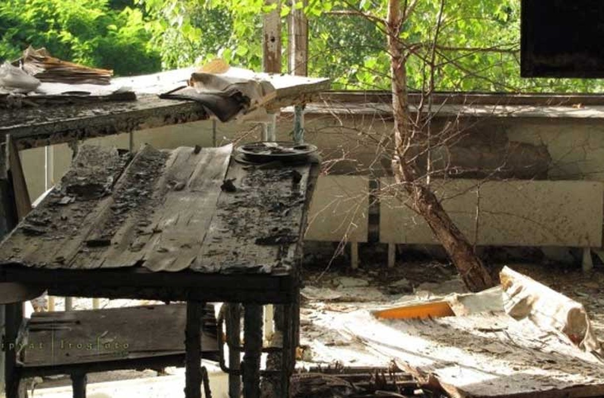 Anh: Thi tran Pripyat 30 nam sau tham hoa hat nhan Chernobyl-Hinh-10