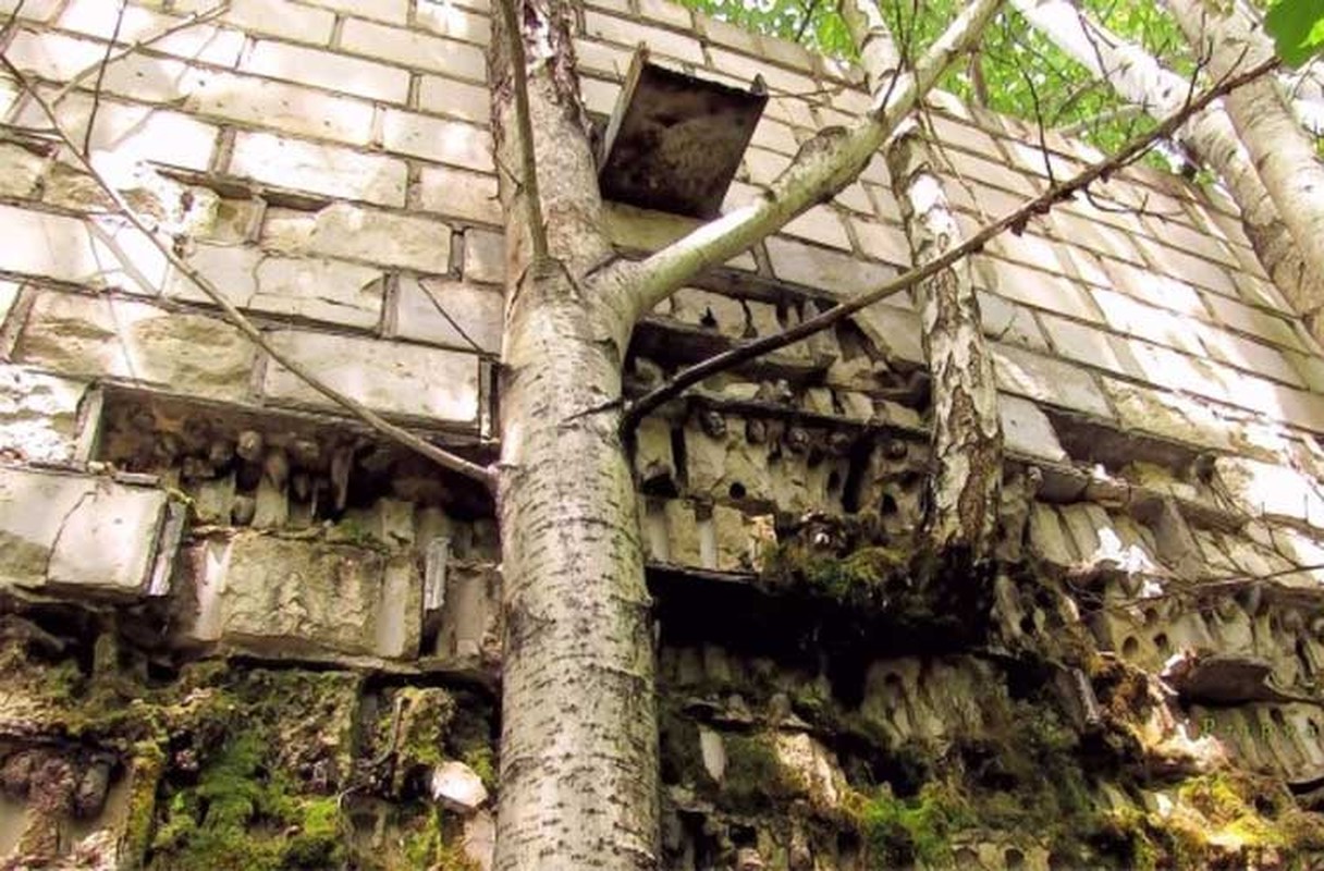 Anh: Thi tran Pripyat 30 nam sau tham hoa hat nhan Chernobyl-Hinh-7