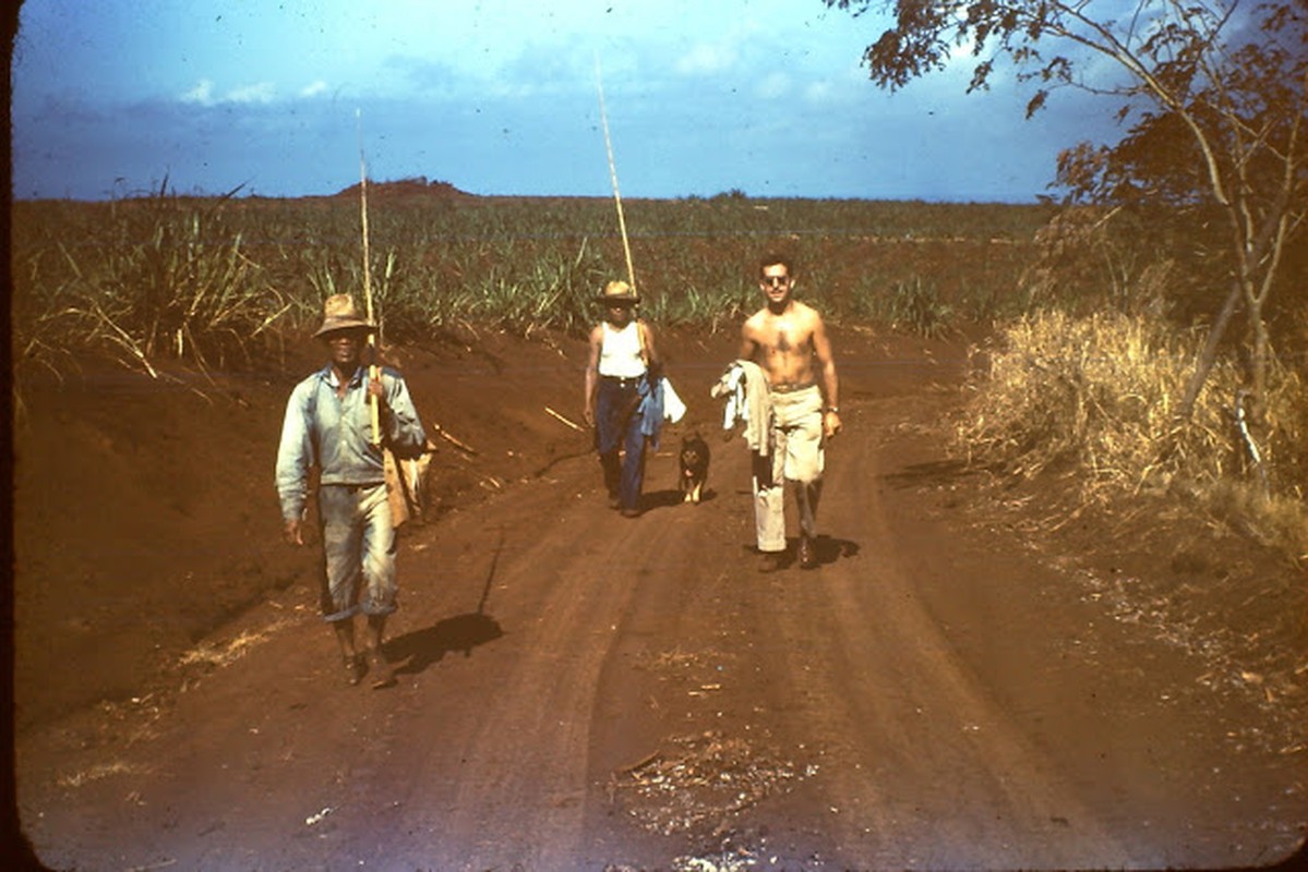 Bang Hawaii nam 1945 trong ra sao?-Hinh-8