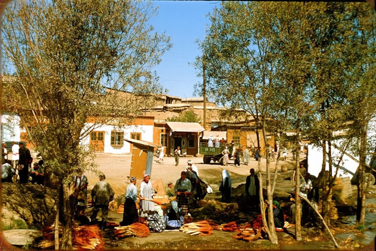 Cuoc song thuong nhat o Tashkent nam 1956 qua anh-Hinh-16