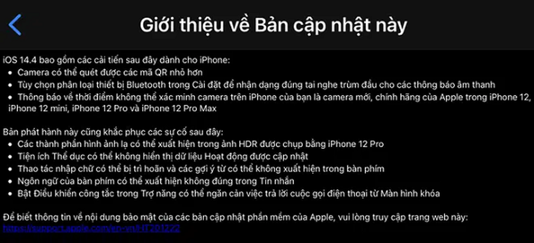 Cap nhat ngay iOS 14.4 de bao ve an toan tuyet doi cho “de”-Hinh-8
