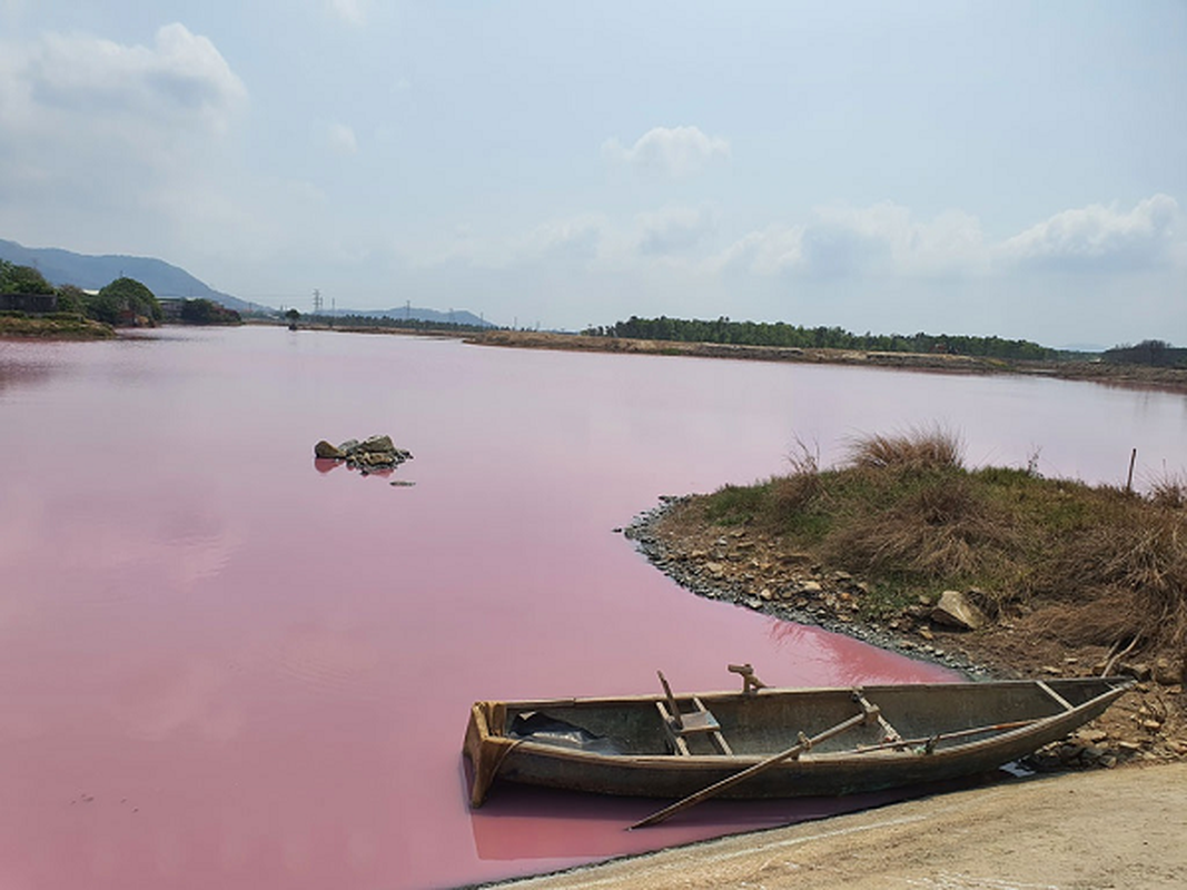 Thu pham gay mau tim ngat tren dam nuoc Ba Ria - Vung Tau-Hinh-6