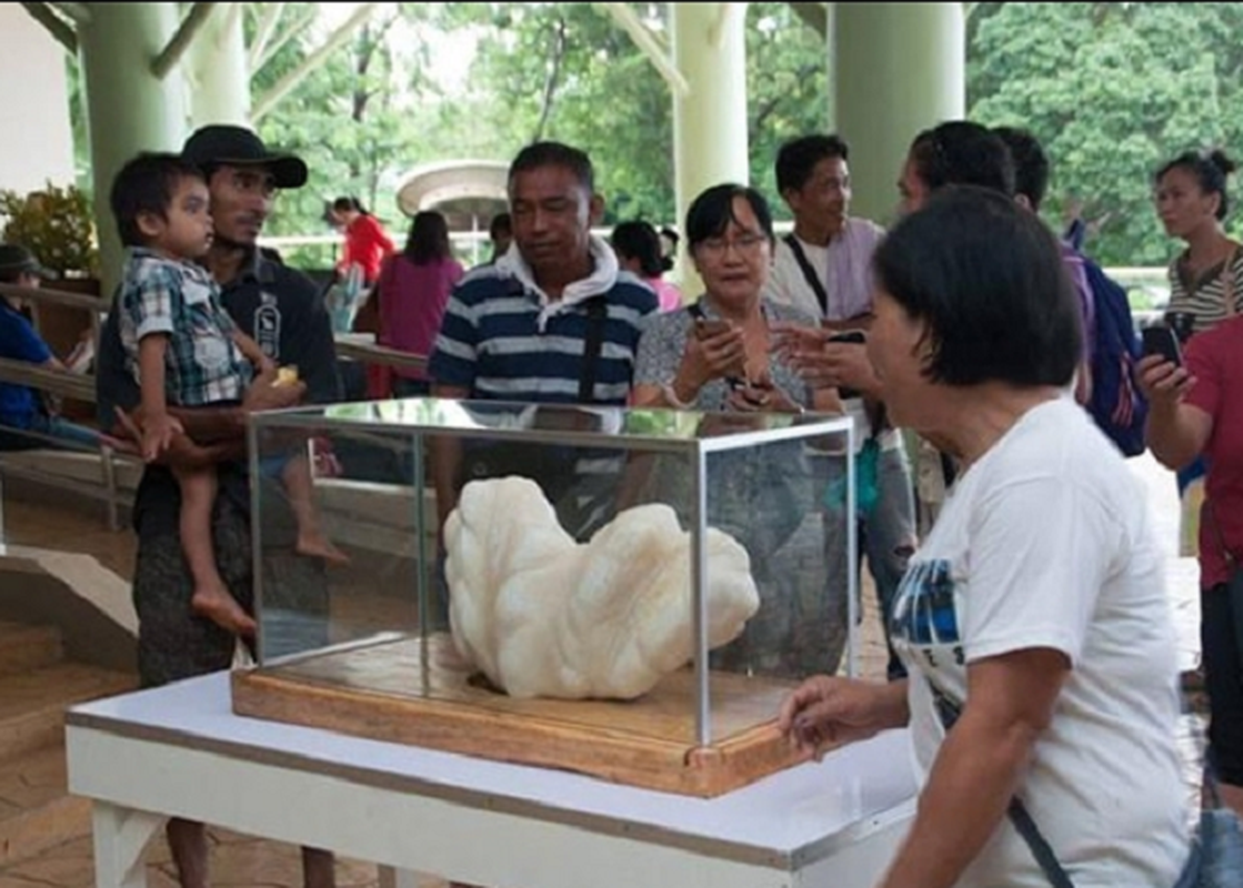 Thu bi ngu dan vut gam giuong 10 nam... khong ngo la bau vat-Hinh-5