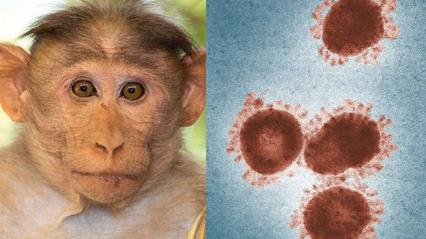 Nong: Xuat hien virus dong vat khac khien nguoi tu vong-Hinh-3