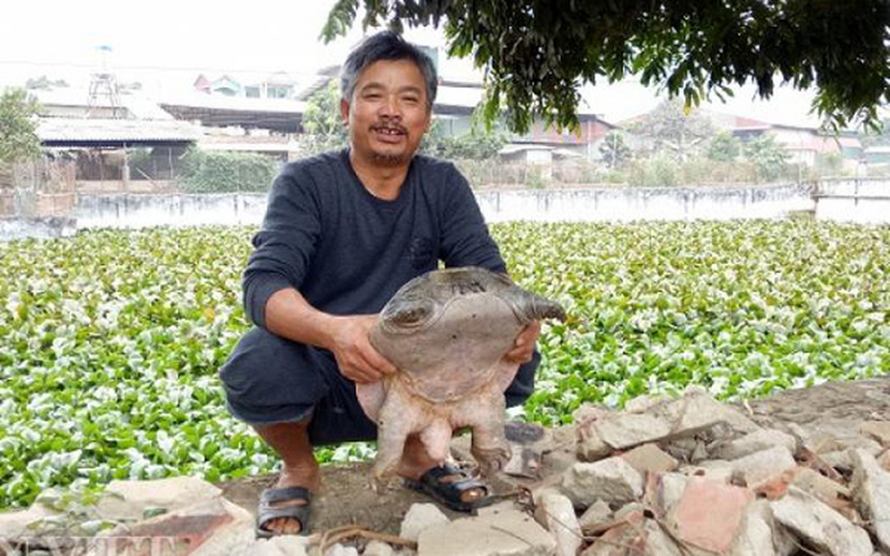 Kinh ngac loai nhu “thuy quai” nguoi Viet nuoi nhan tenh, kiem bon tien-Hinh-11