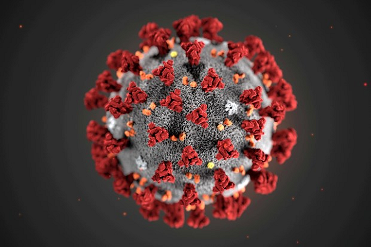 Cuc nong: To tien cua virus corona 