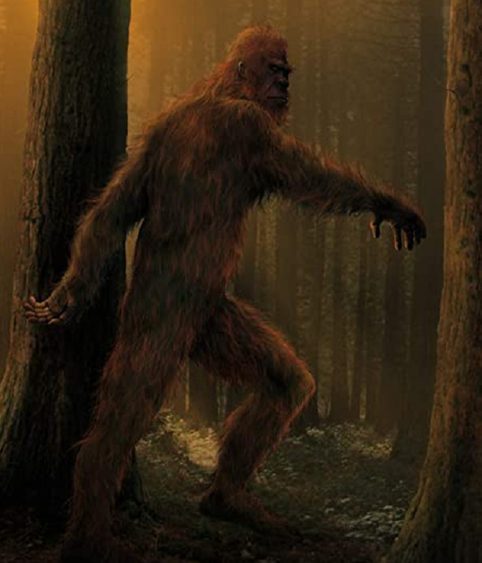 Bat qua tang khoanh khac quai vat Bigfoot xuat hien treu con nguoi-Hinh-6