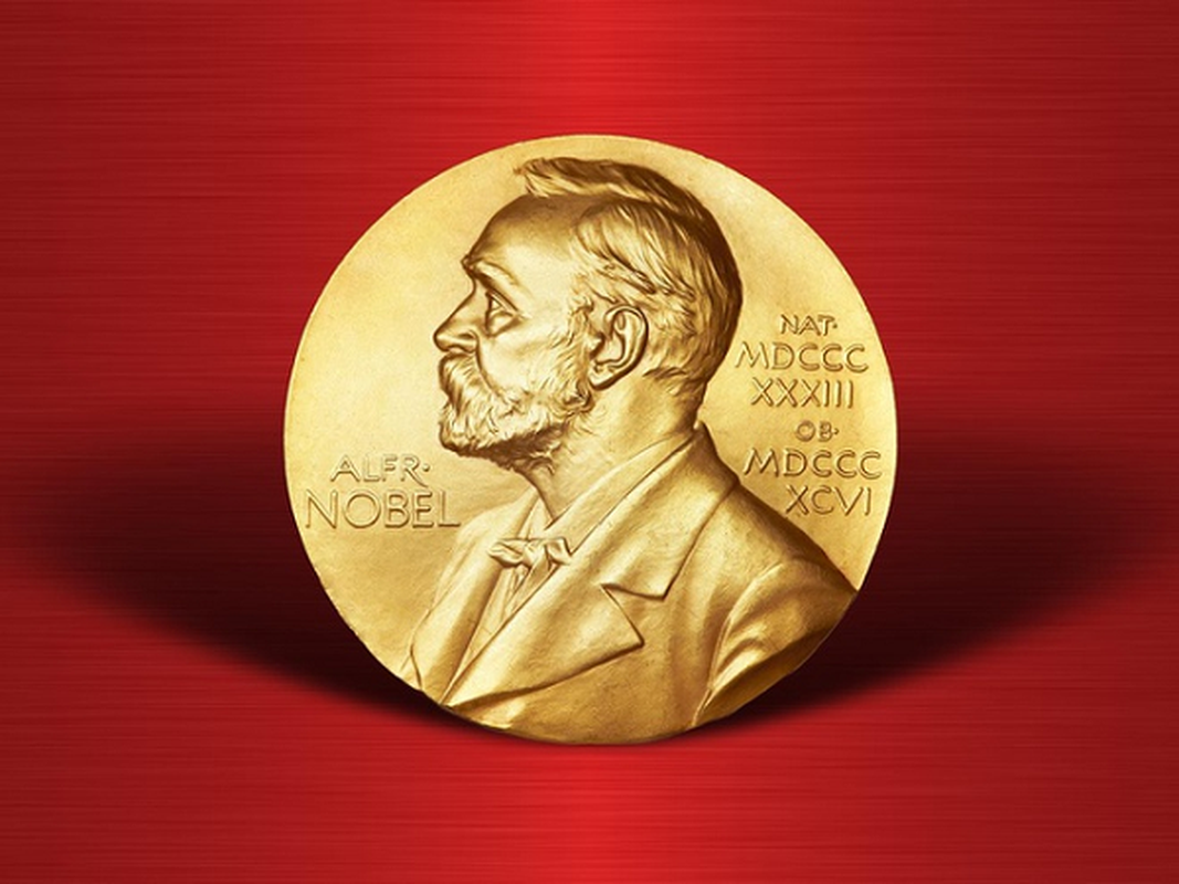 Vi sao WHO duoc du doan doat Nobel Hoa binh 2021?-Hinh-3