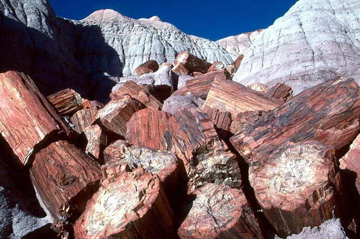 Nhat khuc go la, ong lao vo oa khi biet la bau vat dat gia-Hinh-8