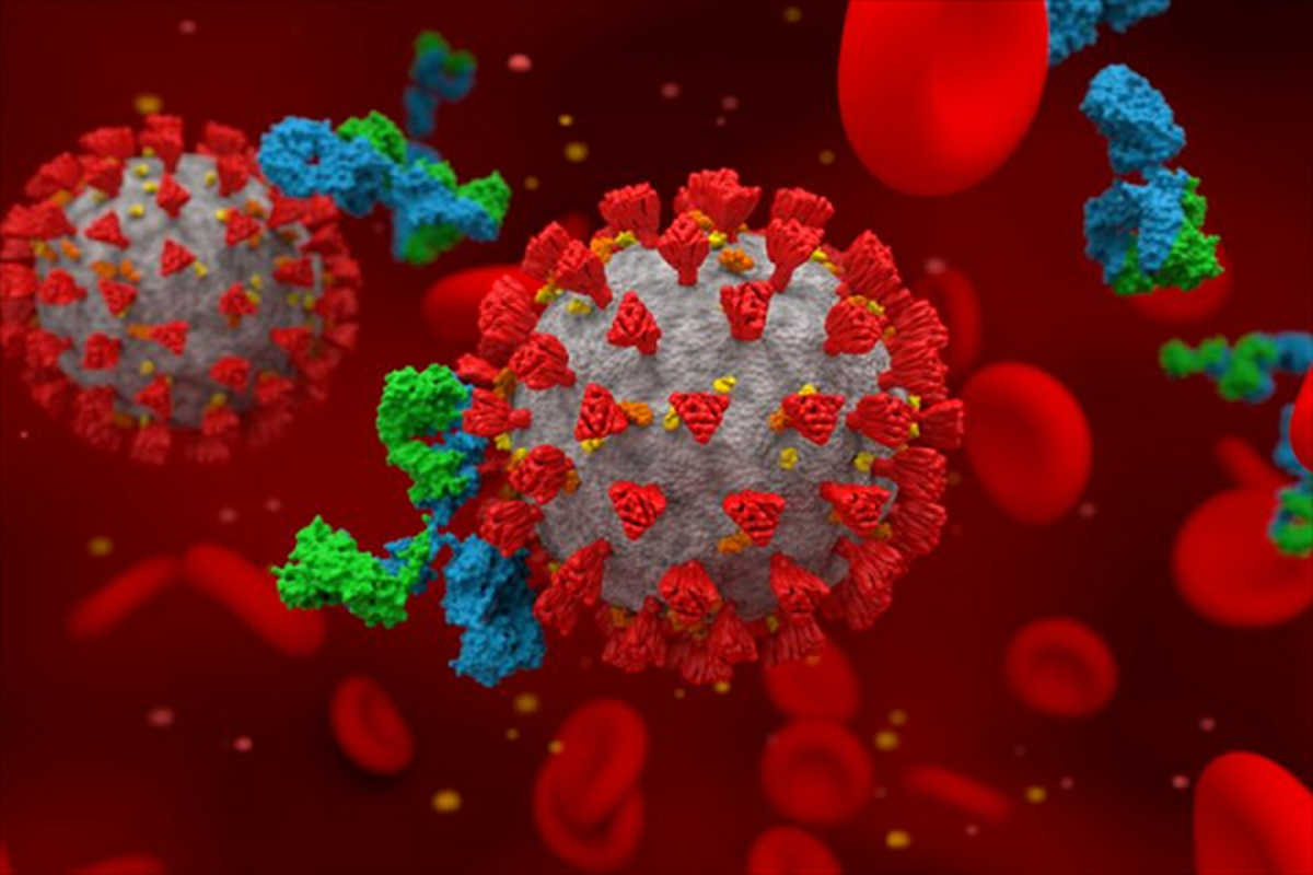 Bat ngo thoi diem virus SARS-CoV-2 “hoanh hanh” manh nhat trong nam-Hinh-10