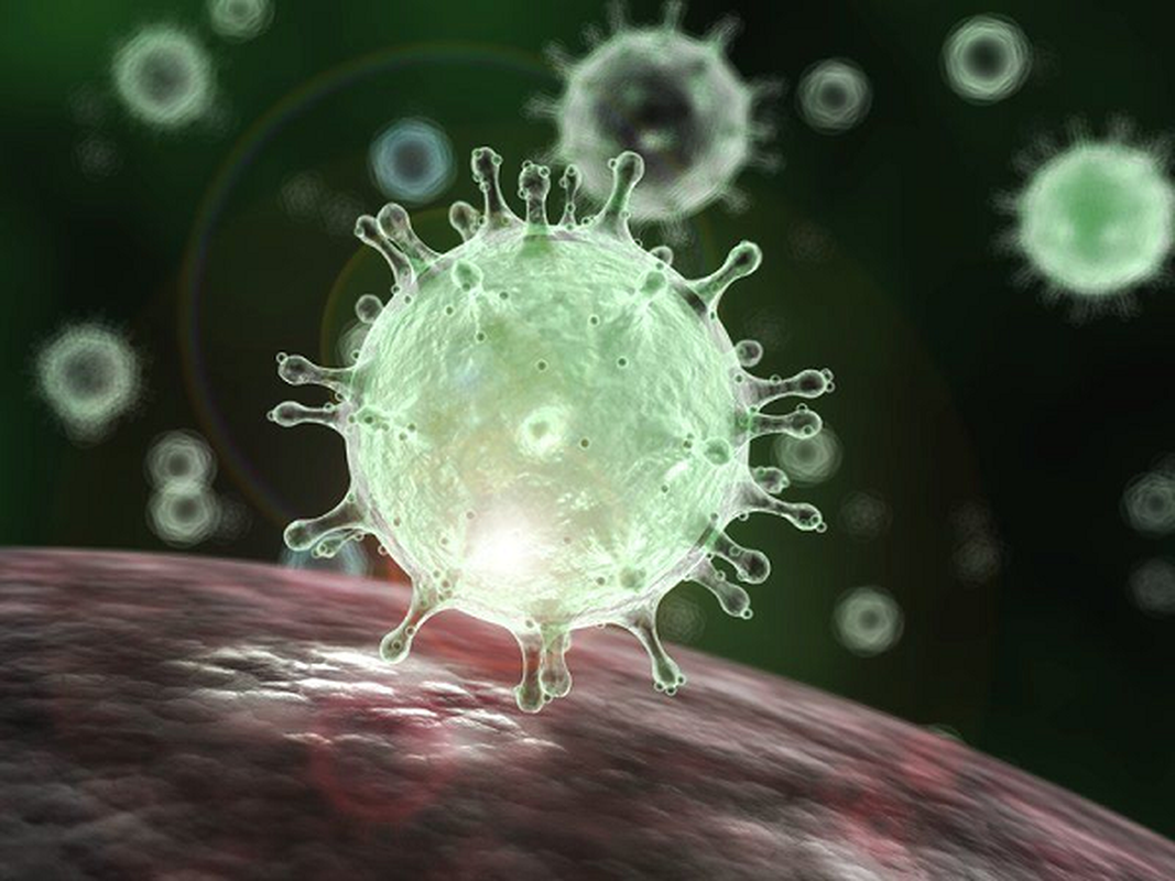 Bat ngo thoi diem virus SARS-CoV-2 “hoanh hanh” manh nhat trong nam-Hinh-3