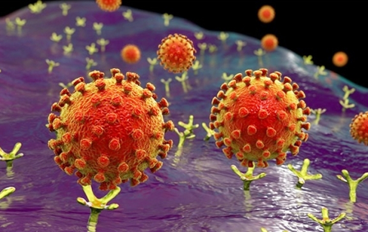 Bat ngo thoi diem virus SARS-CoV-2 “hoanh hanh” manh nhat trong nam-Hinh-9