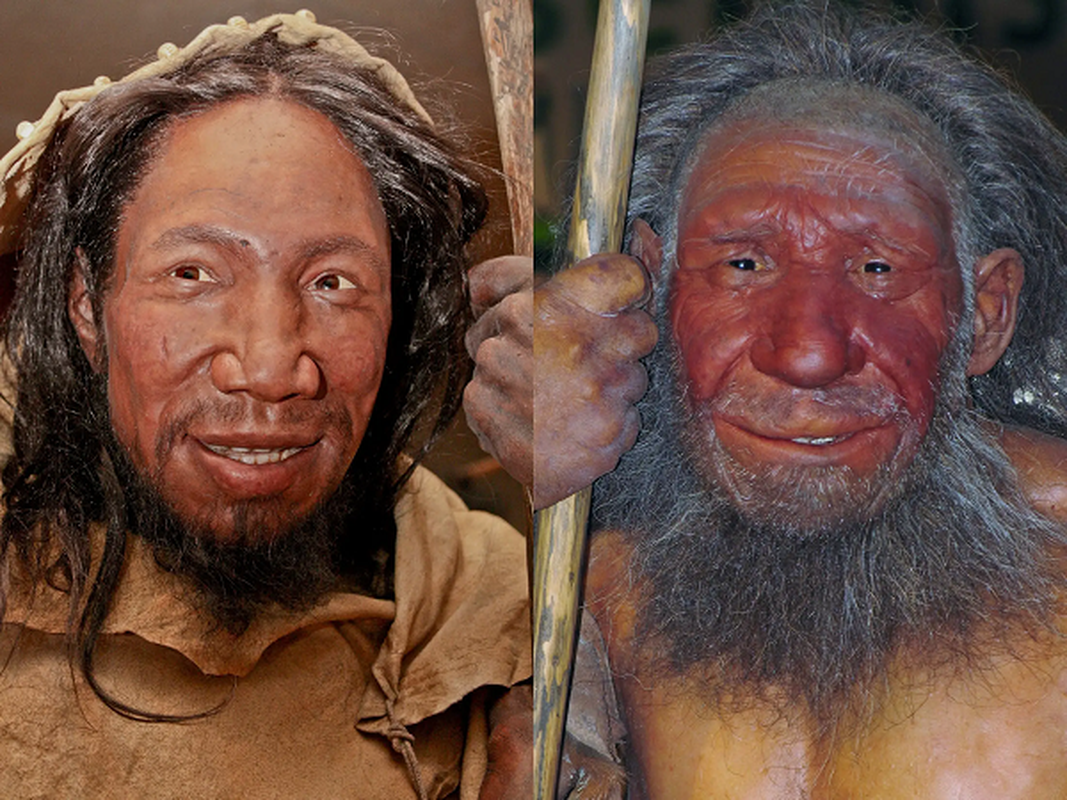Bat ngo loai nguoi co Neanderthals: Moi 4 thang tuoi da la “sieu nhan”-Hinh-12