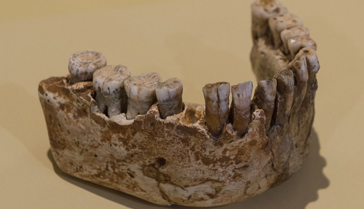 Bat ngo loai nguoi co Neanderthals: Moi 4 thang tuoi da la “sieu nhan”-Hinh-4