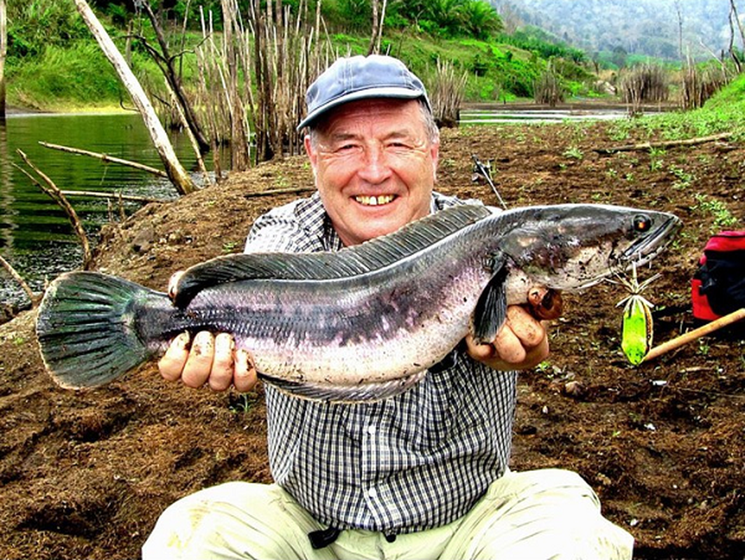 Di cau o dam nuoc nho, nong dan ta hoa dung “thuy quai” khong lo-Hinh-12