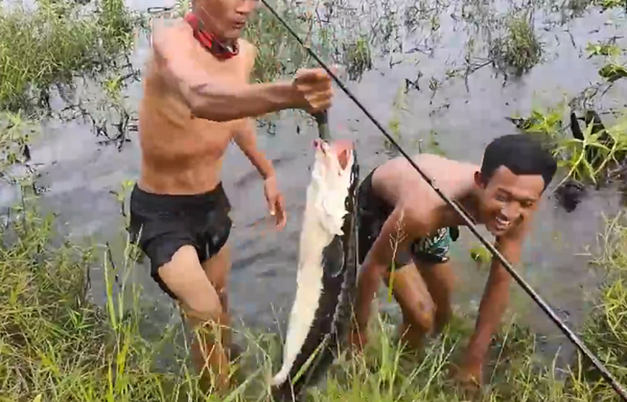 Di cau o dam nuoc nho, nong dan ta hoa dung “thuy quai” khong lo-Hinh-4